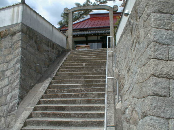2020041203