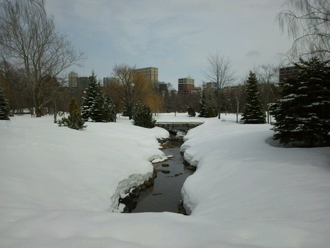 nakajimapark