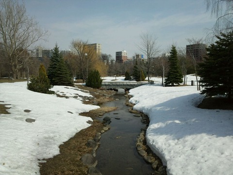 nakajimapark3