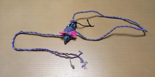 2019020502