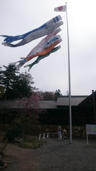 jingu07