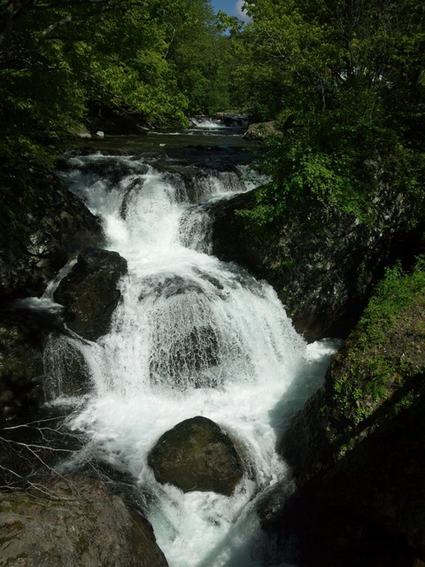 sankaitaki