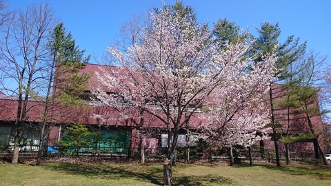nakajimapark13