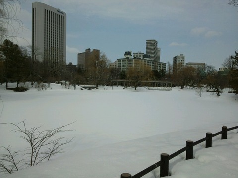 nakajimapark2