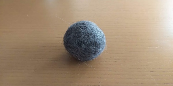 2019043008