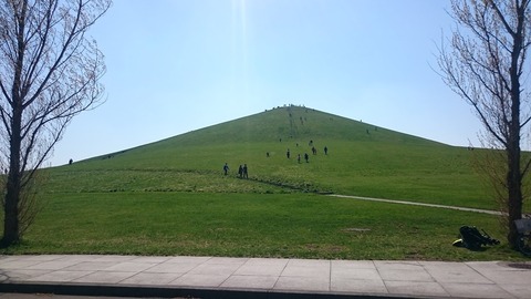 moerenumapark02
