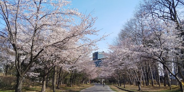 2019043004