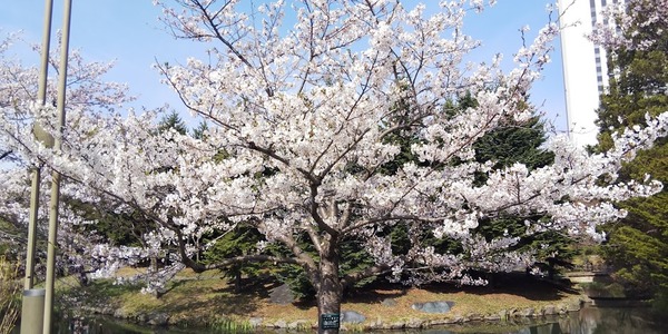 2019043006