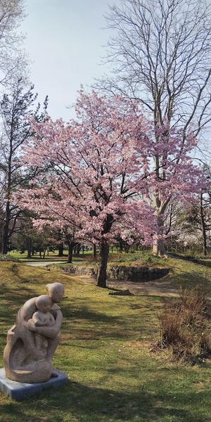 2019043003