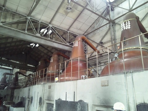 nikka4