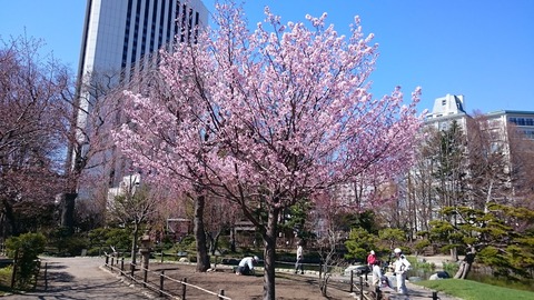 nakajimapark18