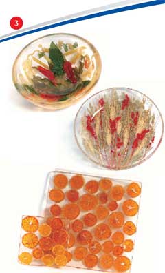 キウラート・ミケーレ(Chiurato Michele）,ローマ : イタリア、パリ