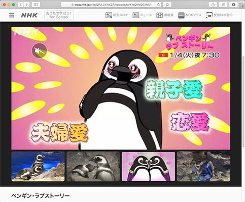 ペンギンの恋物語 ペンギン ラブストーリー がアニメ化決定 ヲタクnews速報 ペンギンの恋物語 ペンギン ラブストーリー がアニメ化決定 ヲタクnews速報