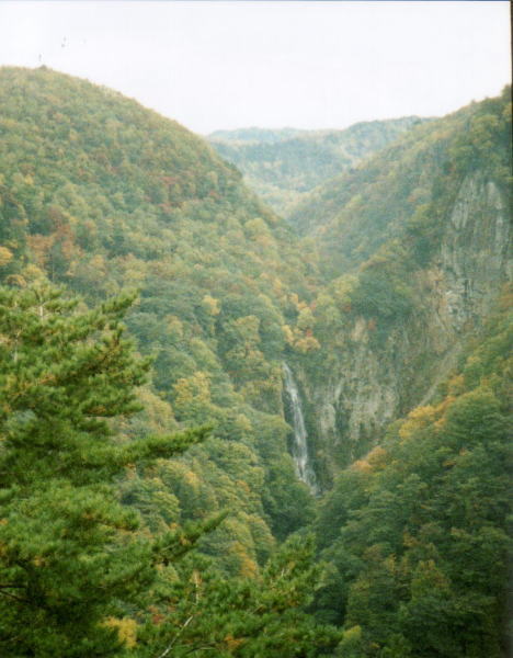 062c1727.jpg