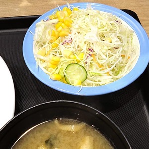 DSC_3211 - コピー