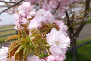 DSC00008