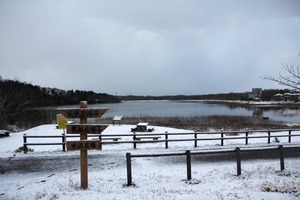 220131_01