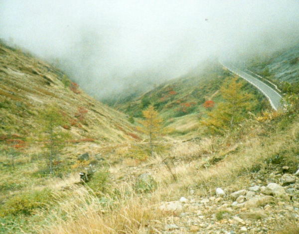 40f0d13d.jpg