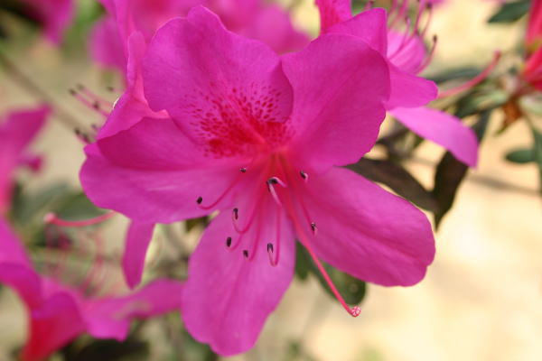 48314dcd.jpg