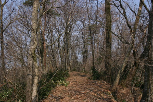 4ed38e83.jpg