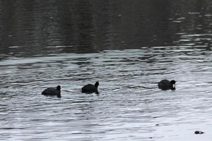 220131_05