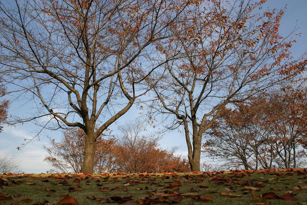 65e7e249.jpg