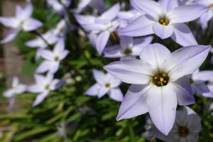 DSC00014
