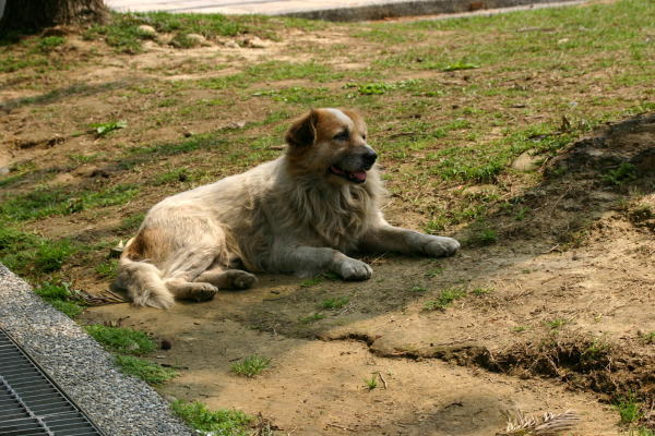 968559f7.jpg