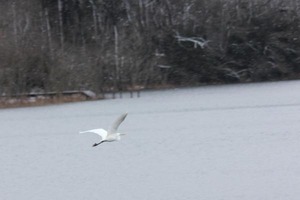 220131_09
