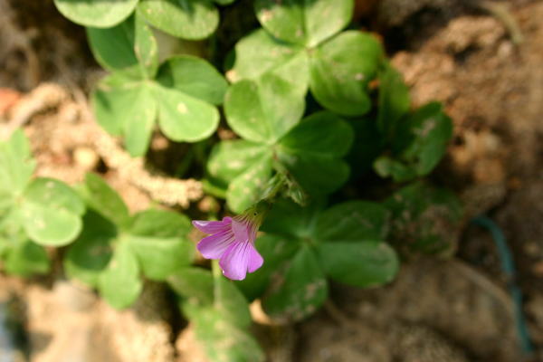 ab379b04.jpg