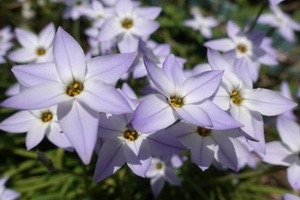 DSC00015