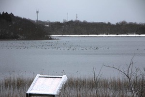 220131_02