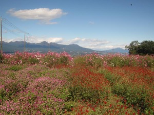 201110_03