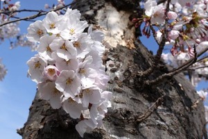 DSC00006