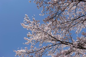 DSC00002