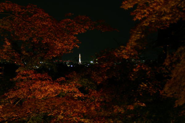 f5d7283d.jpg