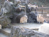 20160211-02
