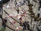 20160313-01