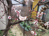 20160313-02