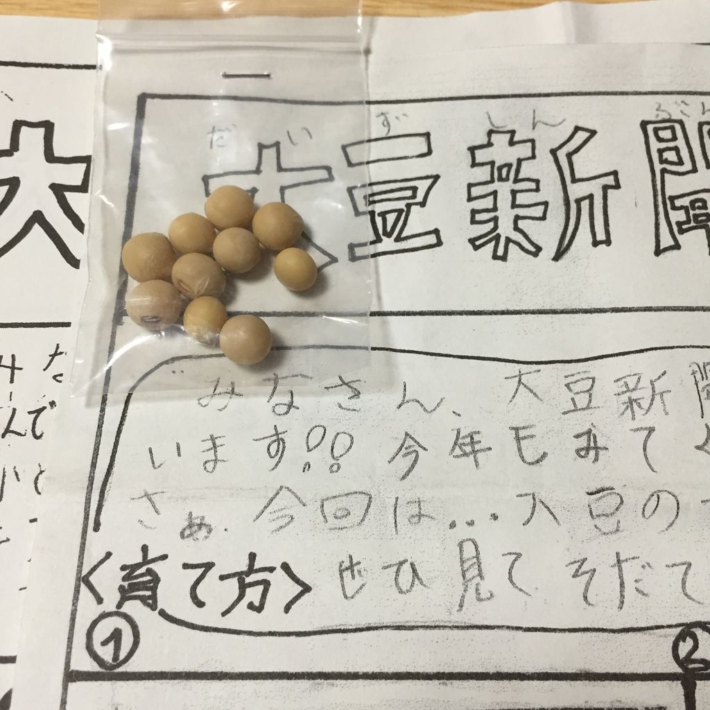 津久井大豆栽培に取り組む小学生 初めての古代米だより