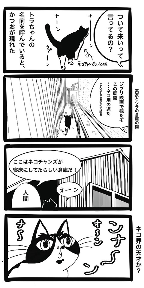 A73999E7-5258-4284-9621-549B3EDCCB53_1_102_o