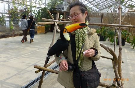 の切れ目が縁の切れ目 神話大好き 大阪の女性ライター 醸工房