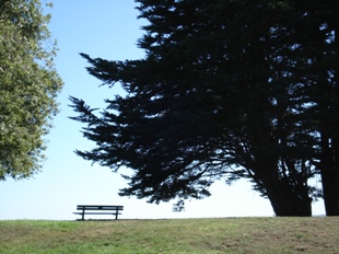 park