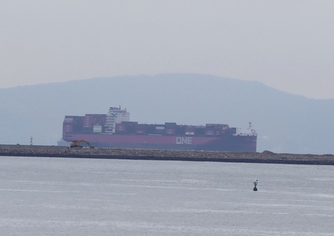 IMG_4174