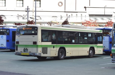 DSC_8781_R