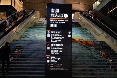 P1224223_R