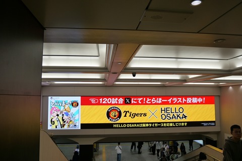 P1256654_R