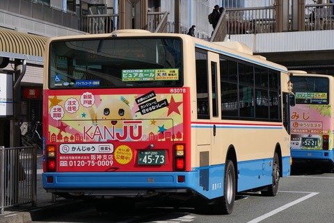 30ac9043-s.jpg