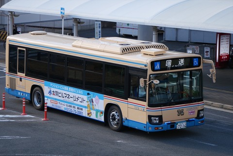 41801452-s.jpg