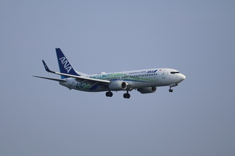 IMG_8815_R